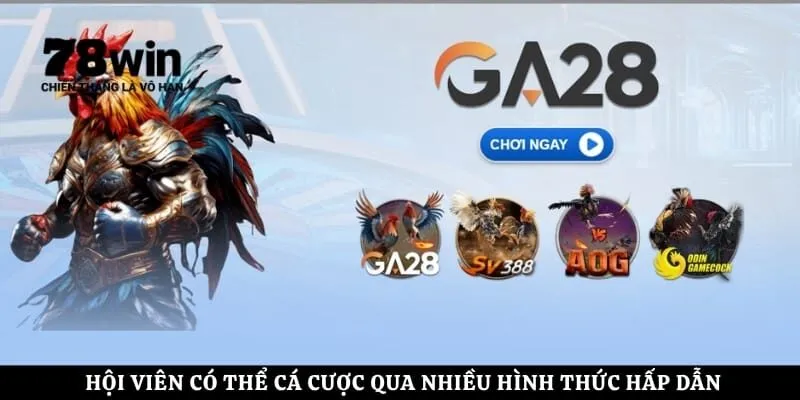 Hội viên có thể cá cược qua nhiều hình thức hấp dẫn