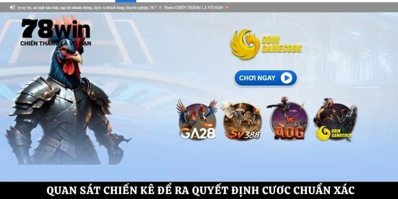 Quan sát chiến kê để ra quyết định cươc chuẩn xác
