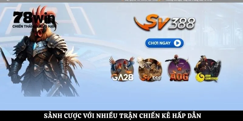 Sảnh cược với nhiều trận chiến kê hấp dẫn