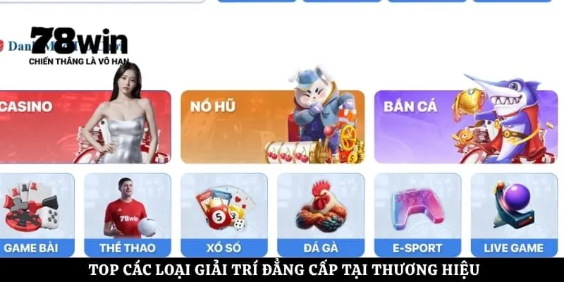 Top các loại giải trí đẳng cấp tại thương hiệu